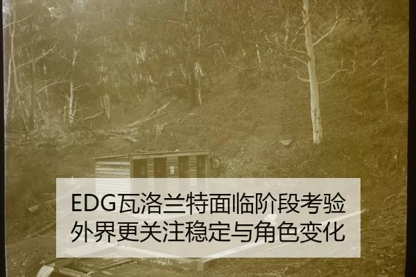 wa-luo-lan-te-mian-lin-jie-duan-kao-yan-wai-jie-geng-guan-zhu-wen-ding-yu-jue-se-bian-hua-2-448.jpg